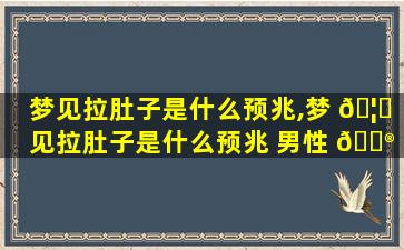 梦见拉肚子是什么预兆,梦 🦁 见拉肚子是什么预兆 男性 💮 解梦